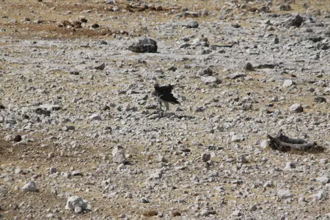2012_08_09_3900k.jpg