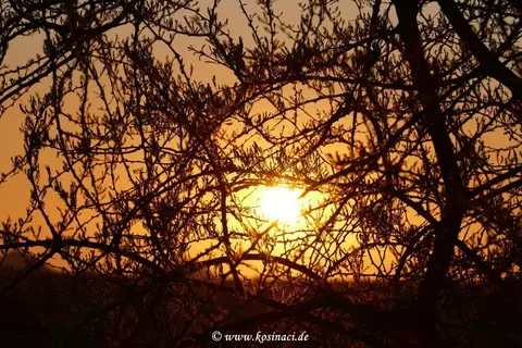 Na21_0155.JPG