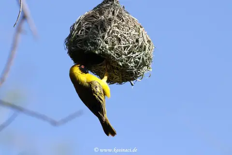 Na21_0445.JPG