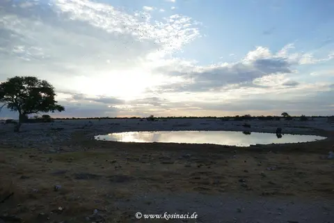 Na21_10776.JPG