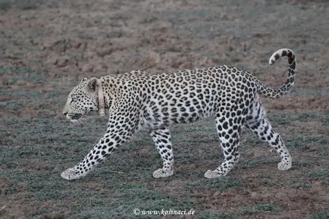 Na21_1112.JPG