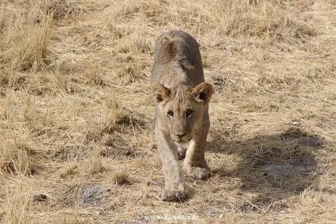 Na21_11394.JPG