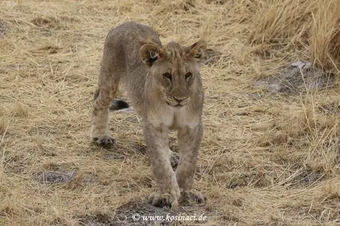 Na21_11559.JPG