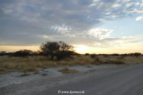 Na21_12239.JPG