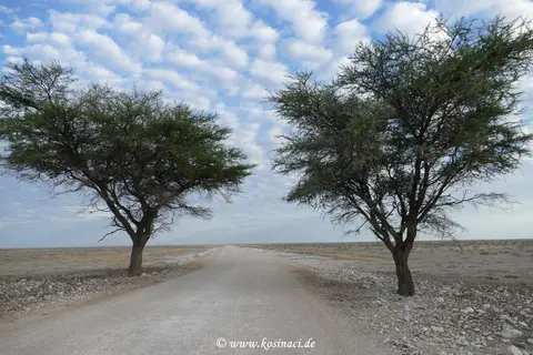 Na21_12263.JPG