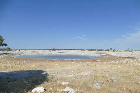 Na21_12360.JPG