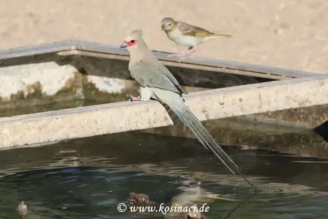 Na21_1362.JPG