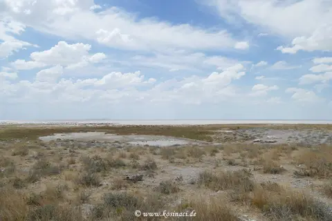 Na21_8285.JPG
