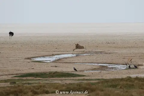 Na21_9030.JPG