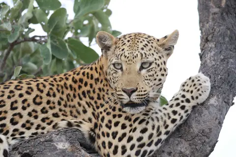 Na23_5444.JPG