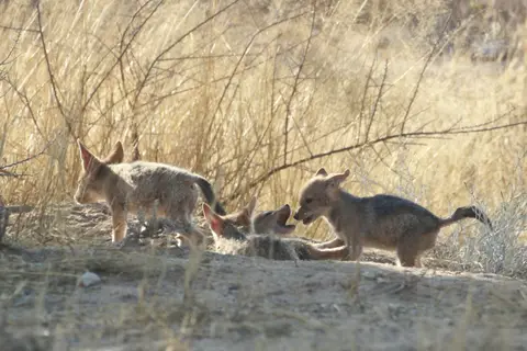 Na25b_10549.JPG