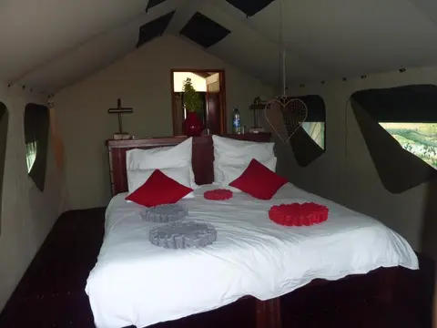 h36161d0.JPG