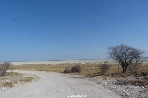 h7b673e1.JPG