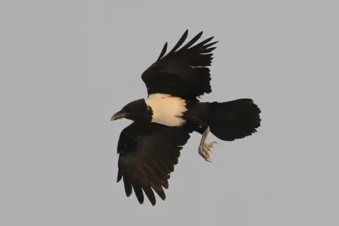 hc23df13.JPG