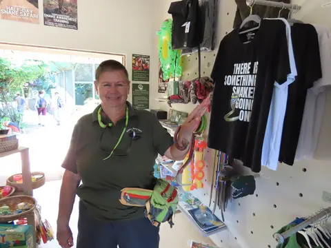 ElviraimShop.jpg