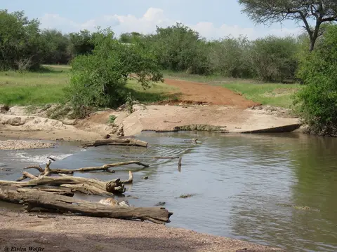 GrumetiRiver1.jpg