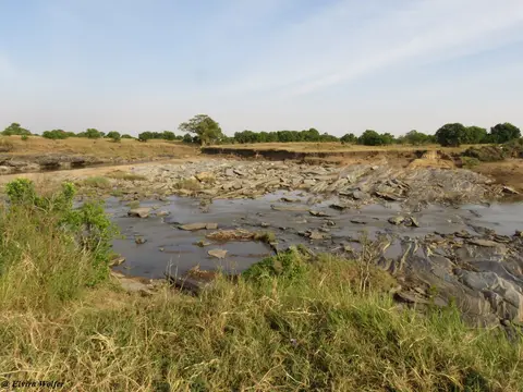 HippoPoolTalek2.jpg