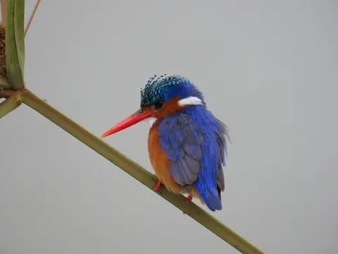 IMG_9332.JPG