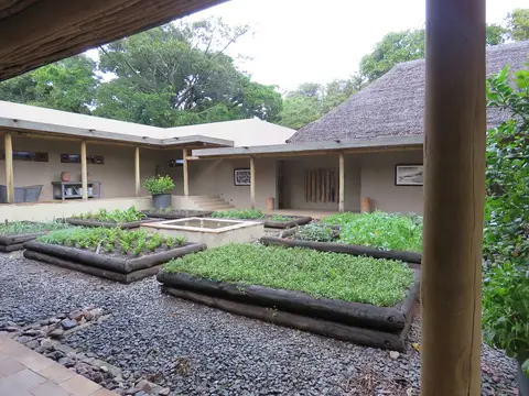 KichwaTemboGarten.jpg