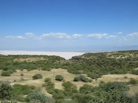 LakeNatron1.jpg
