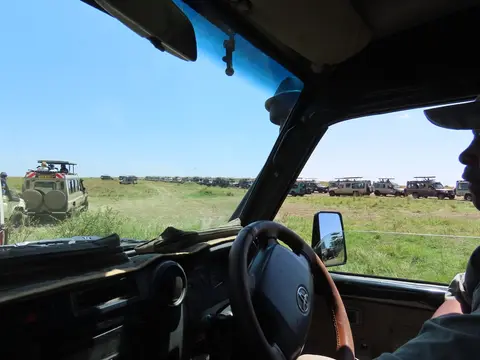 Leopard5.jpg