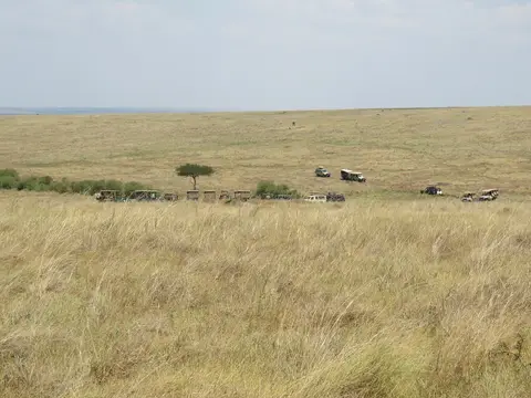 LeopardenrissAutos.jpg