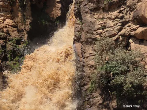 MakaliaFall3.jpg