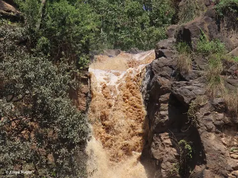 MakaliaFall5.jpg