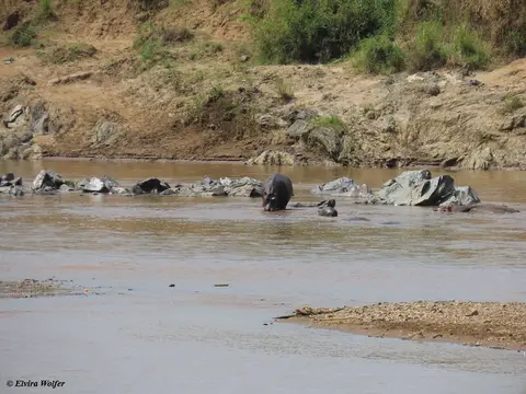 MaraRiver4.jpg
