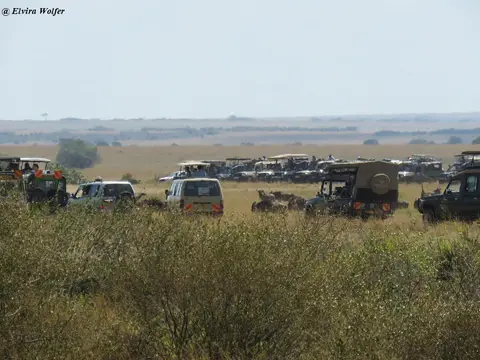 MaraRivercrossings3072.jpg