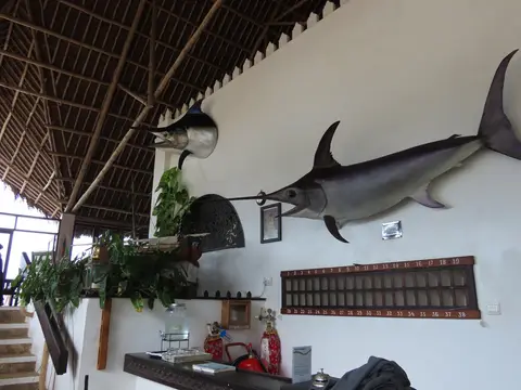 OceanSportsEmpfang.jpg