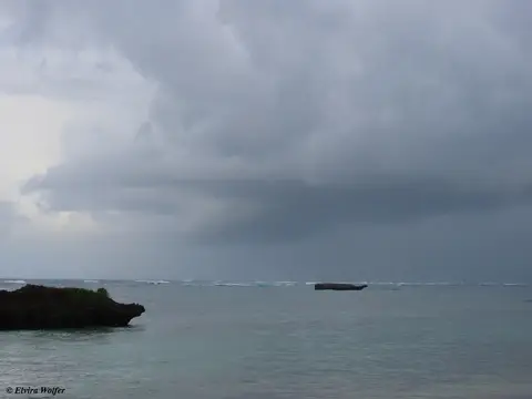 Regen2.jpg