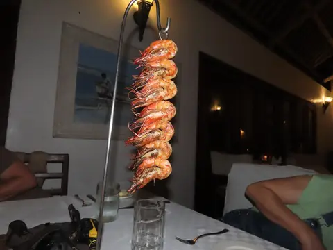 Shrimps.jpg