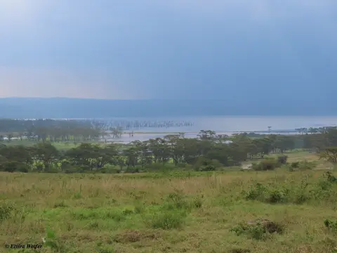 SichtaufNakuruSee.jpg