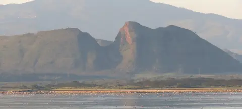 SleepingWarriorFlamingos.jpg