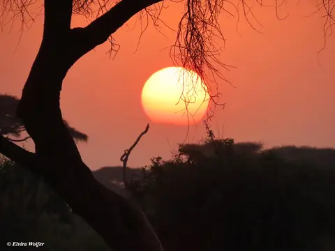 SonnenuntergangAmboseli3.jpg
