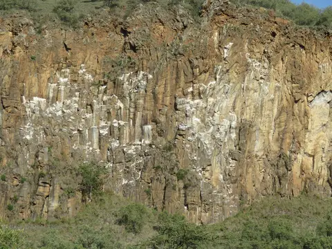 SperbergeierWand.jpg