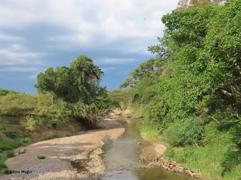 TalekRiver.jpg