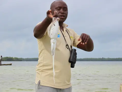 Tintenfisch.jpg