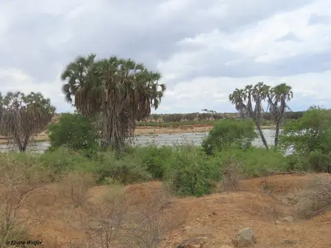 toWatamu1.jpg