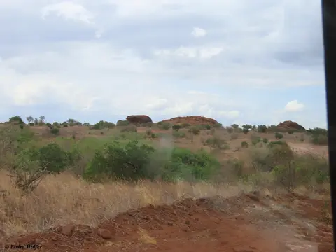 toWatamu2.jpg