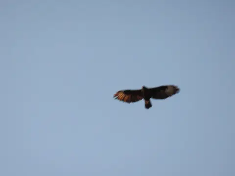 IMG_1778.JPG
