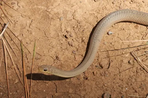 Afrika20190032.jpg