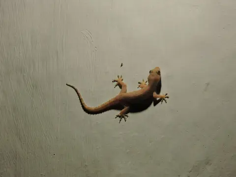h32c5b05.JPG