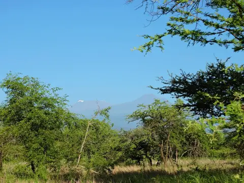 h3378493.JPG