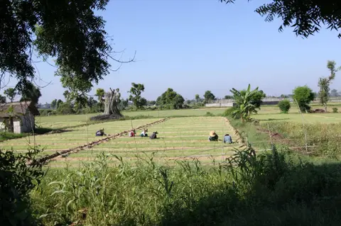 119.JPG