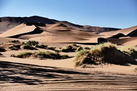 Afrika201520161666.JPG