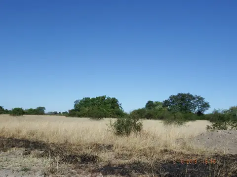 DSCF0089.JPG
