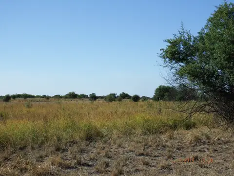 DSCF0092.JPG