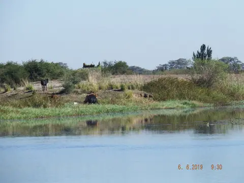 DSCF0199.JPG